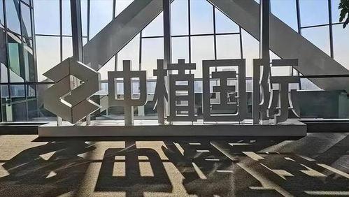 中植基金爆料最新消息,揭秘投资界重大事件内幕